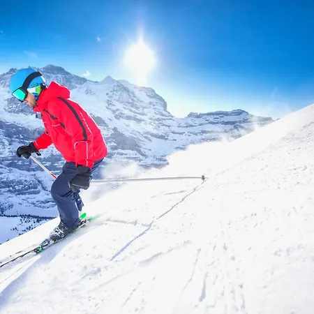 Verbena-3 By Interhome